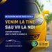 Dezmembrari auto cumparari orice tip